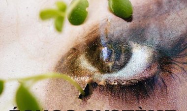 Programme associé ARLES / ÉCHOS SYSTÈME