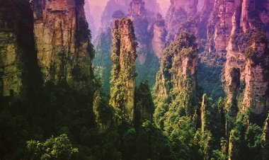 APPEL À CANDIDATURES POUR LES PROCHAINES RENCONTRES PHOTOGRAPHIQUES