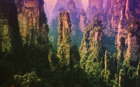 APPEL À CANDIDATURES RP10 / FÉVRIER 2023