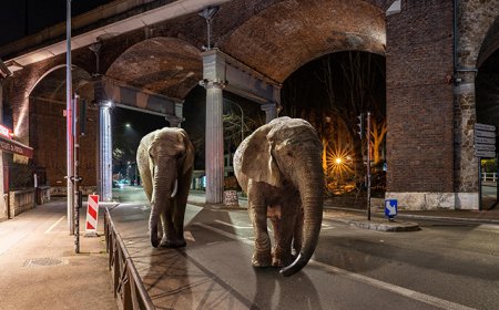 Les lauréats de l’appel à exposer des Confrontations Photo 2024