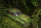 Exposition de Peter Lippmann