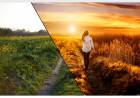 Tutoriels Vidéos et plus de 500 Actions et presets pour PhotoShop et Lightroom
