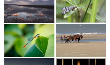 Exposition photos VSM Images Création