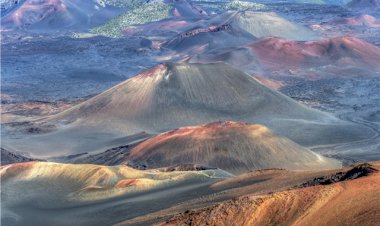 4è Festival Spot-Nature au Havre